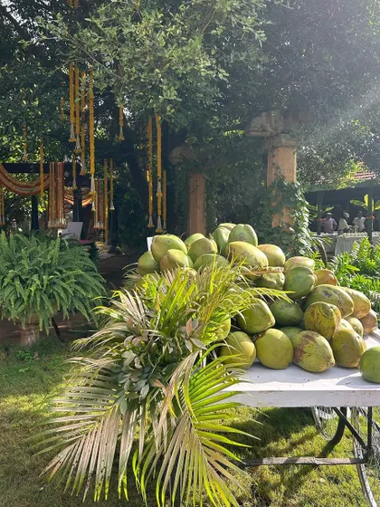 Another angle of the coconut cart, a perfect addition to a daytime, outdoor South Indian event.
