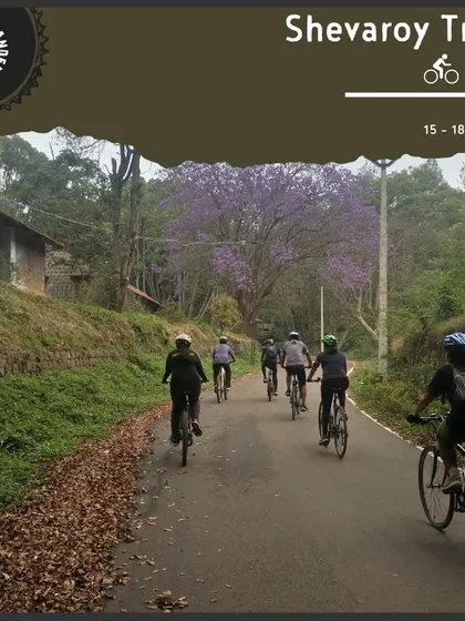 A group of cyclists enjoys a ride on a quiet, leaf-strewn road in Yercaud. Our 'Shevaroy Trails' tour is perfect for those looking to explore dense forests and coffee plantations.