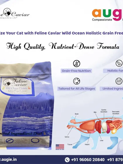 This Feline Caviar Wild Ocean formula is a high-quality, nutrient-dense food for your cat. It's a grain-free, holistic, and limited-ingredient diet suitable for all life stages, from kitten to senior.