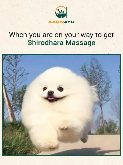 This is the feeling of pure joy and anticipation our clients have on their way to a Shirodhara session. Knowing that deep peace and relaxation await is the best feeling.