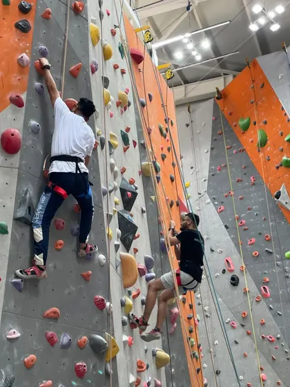 Colleagues cheer each other on as they tackle the walls. This supportive environment is what makes climbing such an effective team-building activity.