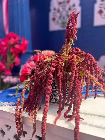 A close-up of a unique red floral arrangement, adding a touch of drama and texture to the colorful decor.