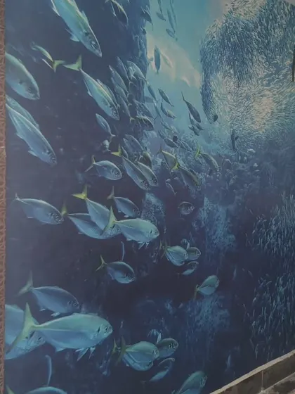An underwater mural featuring a school of fish. This creates a dynamic and immersive deep-sea experience.