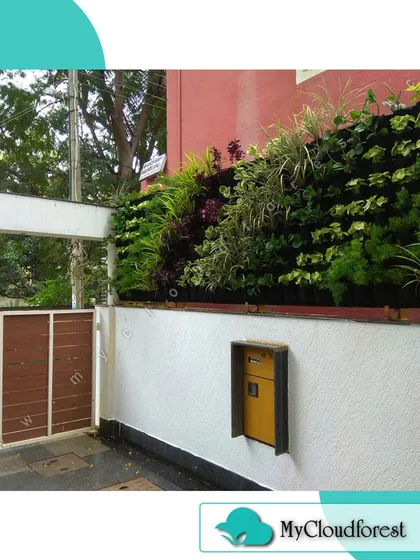 A plain compound wall is a blank canvas. For this home, I installed a natural vertical garden that adds immense curb appeal and brings a touch of nature to the neighborhood. This living wall uses a mix of hardy plants chosen for their color, texture, and resilience.