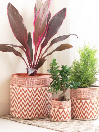 My planter baskets are available in different sizes, so you can create a cohesive look by grouping them together. Here, a set of three in a rust chevron print houses plants of various sizes.