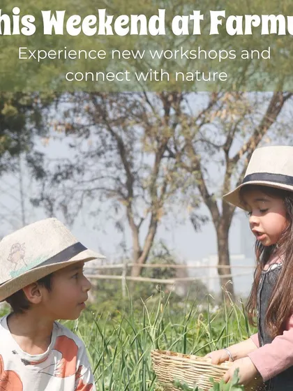 An announcement for our weekend workshops, inviting guests to connect with nature.