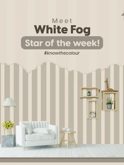 My "Better Half" and "Know the Colour" series explore unique color pairings and deep dives into specific shades. Let these ideas inspire you to create a truly unique and harmonious color story in your home.