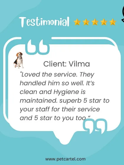 "Loved the service. They handled him so well. It's clean and Hygiene is maintained." This review highlights two of our top priorities: gentle handling and impeccable hygiene.