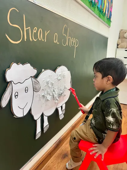 It's shearing season on our pretend farm. A student uses a toy rake to "shear" shaving cream wool off a cardboard sheep, a fun sensory activity to learn about farm animals.