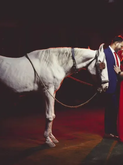 For couples wanting a truly unique pre-wedding shoot, we create epic, story-driven concepts. This dramatic portrait with a majestic white horse results in a powerful and unforgettable image that tells a love story.