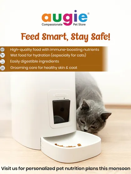 Feed smart and stay safe this monsoon. I recommend high-quality food with immune-boosting nutrients, wet food for hydration (especially for cats), and easily digestible ingredients.