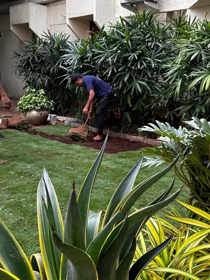 My team working together to lay the new lawn. This image captures the collaborative effort required for large-scale commercial landscaping projects.