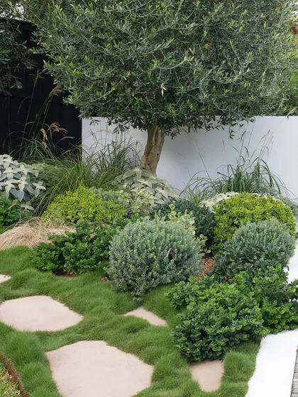An informal path of flagstones set among Zoysia grass. This creates a soft, naturalistic look that is comfortable to walk on and visually interesting.