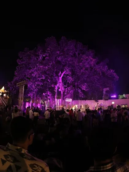 A wide shot of the Jazz Weekender at night, showing the scale of the event. You can see the stage, the crowd, and the food and drink stalls, all part of the complete festival ecosystem we manage.