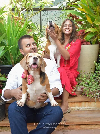 A vibrant, happy family portrait with two howling beagles. The lush greenery and colorful outfits make this a joyful and eye-catching image.
