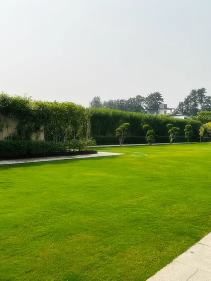 A pristine, expansive lawn is the heart of this Sultanpur farmhouse landscape. I use high-quality turf and expert maintenance techniques to create large, open green spaces perfect for events, recreation, or simply enjoying the view.