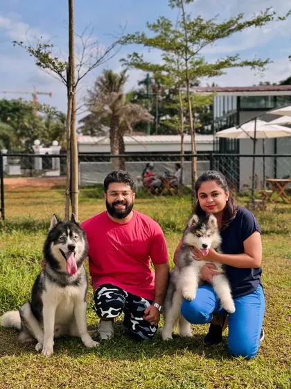 A family portrait with their adult Husky and a new Husky puppy.