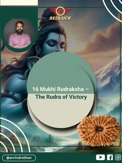 The 16-Mukhi Rudraksha is known as the Rudra of Victory. Blessed by Lord Rudra, it is a secret weapon for those chasing success and seeking to overcome all obstacles in their path.