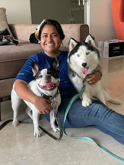 A happy pack! Here I am with a French Bulldog and a Siberian Husky during a multi dog household consultation. My goal is to create harmony and structure, ensuring all dogs feel secure and understand their place.