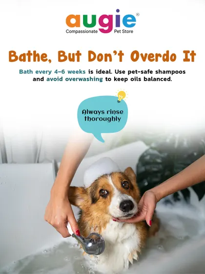 Bathe your pet, but don't overdo it. A bath every 4-6 weeks is ideal for most pets. Over-washing can strip natural oils, so use a pet-safe shampoo and always rinse thoroughly.