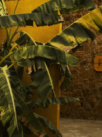 The Anvaya sign against a backdrop of stone and tropical plants, welcoming you to our serene retreat.