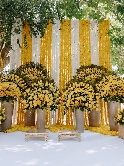 The Haldi ceremony stage, with a backdrop of alternating yellow and white flower strings, creating a classic and elegant look.
