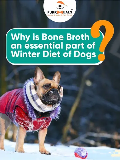 These images are part of series showing happy dogs and the bone broth product, reinforcing its benefits and appeal.