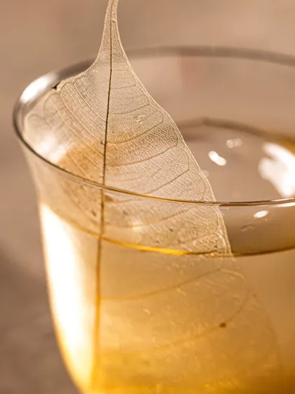 An elegant and minimalist cocktail featuring a delicate, transparent leaf garnish. This macro shot highlights the fine details and artistry of modern mixology.