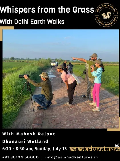 Participants on our "Whispers from the Grass" walk at Dhanauri Wetland, learning from naturalist Mahesh Rajput. The open landscape provides excellent opportunities for bird spotting with scopes.