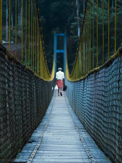 A lone figure walks away across a long, narrow suspension bridge surrounded by forest. The leading lines of the bridge create a strong sense of depth and journey.
