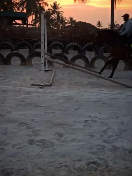 A rider and horse clear a jump against the beautiful sunset backdrop. Our arena is set up for show jumping practice for riders of various skill levels.
