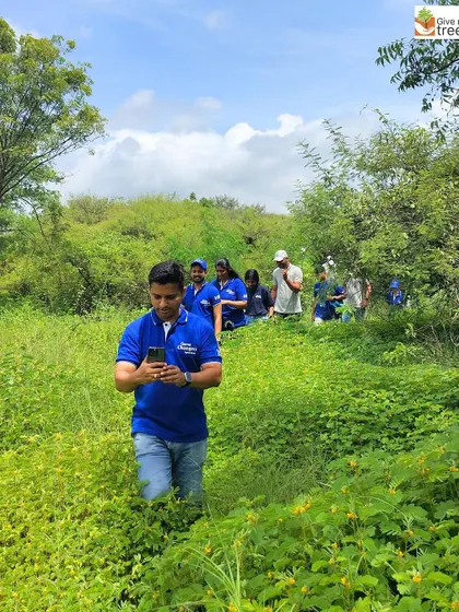 The Honeywell team during their plantation day in Pune, which included a nature walk along a waterway before the planting began. This holistic approach connects volunteers to the broader landscape they are helping to restore.