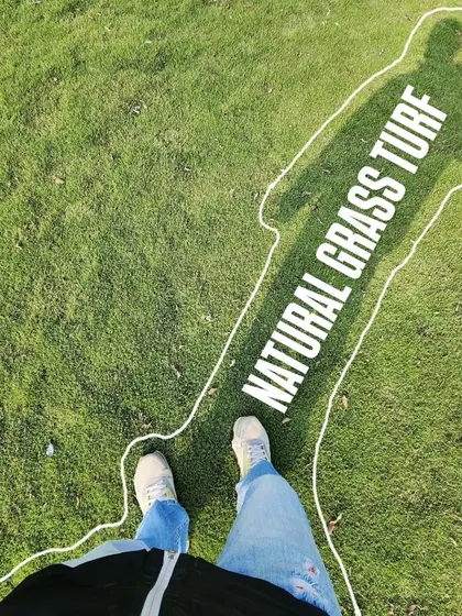 We are your source for natural grass turf. This creative shot highlights our core product.