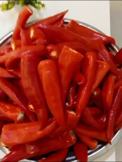 Preparing for a batch of my Kashmiri Mirchi pickle. I use bright red chillies that are known for their deep flavour and colour, not just for heat.