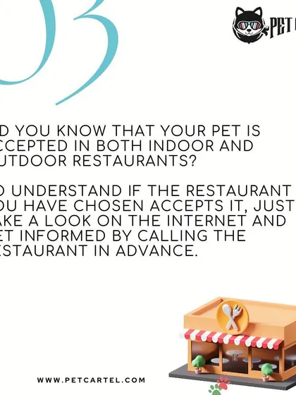 Dining out with your pet requires a little planning. Many restaurants now welcome pets in both indoor and outdoor areas, but it's always best to call ahead and confirm their policy before you visit.