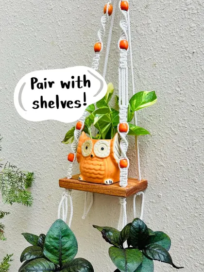 Our little ceramic owl planters are a customer favorite. Not only are they adorable, but they are also believed to bring good luck. This one is shown paired with a macrame shelf, a great way to display your small indoor plants and add personality to your walls.