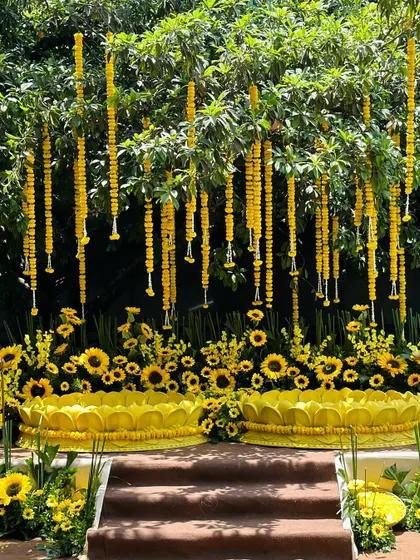 The complete seating arrangement for the Haldi ceremony, framed by hanging marigold garlands and beds of bright sunflowers.