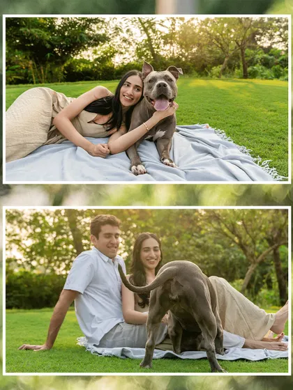A collage from an Alibaug engagement shoot, featuring a glowing testimonial from the happy couple. Their fun energy and Millie the Pitbull's love for the camera made for an incredible session.