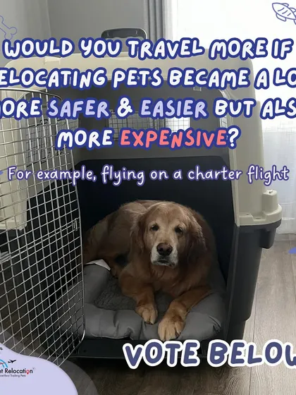 A question for all pet parents: would you travel more if relocating pets was safer and easier, but also more expensive, like flying on a charter flight? Let us know your thoughts.