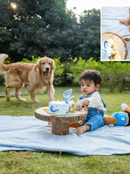 A collage from a first birthday cake smash session in a park, with a toddler digging into his cake while his golden retriever watches.