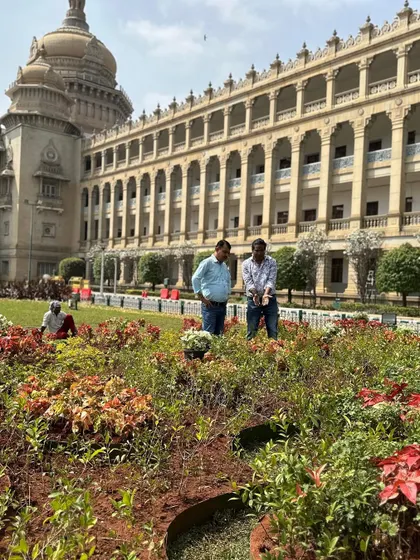 A candid moment of inspection during our work at the Vidhana Soudha. We ensure that every plant is healthy and perfectly positioned to create a flawless and lasting impression for all visitors.