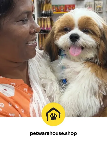 A happy pet parent with her beautifully groomed Shih Tzu. The bond between pets and their owners is something we cherish and aim to strengthen with our caring services.