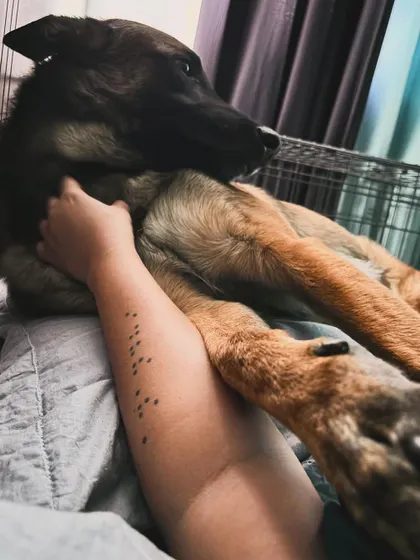 These are the stages of love and surrender with a support animal. The quiet moments when Floyd rests his head on me are a profound reminder of the trust and comfort we provide for each other.