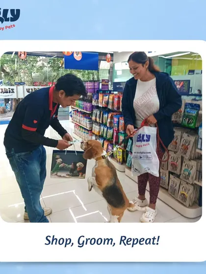 A beagle eagerly receives a treat from our staff member after a shopping trip during the Grooming Fest.