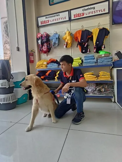 One of our team members assisting a beautiful Golden Retriever near the Zigly Lifestyle clothing section.