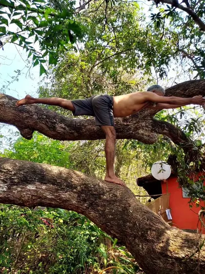 Veerabhadrasana III (Warrior III) on a tree branch. This pose requires immense focus and stability, and practicing it in nature amplifies the feeling of being a grounded, powerful warrior.