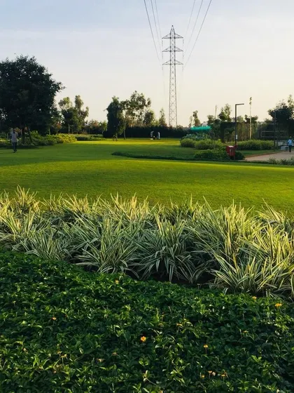 This image highlights the use of layered planting, with low ground cover and taller ornamental grasses creating a rich, textured landscape in this large-scale project.