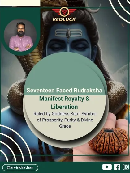 The 17-Faced Rudraksha is for those ready to manifest royalty and liberation. Ruled by Goddess Sita, it is a symbol of prosperity, purity, and divine grace, capable of attracting sudden wealth and success.