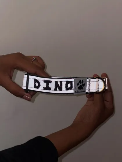 Here I am holding up the finished personalized collar. This shows the scale of the collar and how the reflective material shines even in normal light.