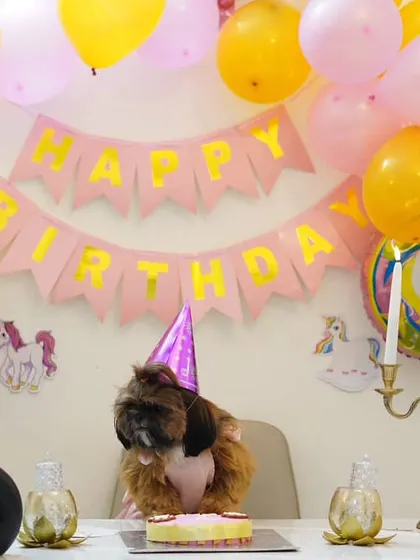 We love turning your vision into reality. This is Mimi celebrating her first birthday with a full party setup, complete with a custom pink "Pawty Cake" we made just for her special day.